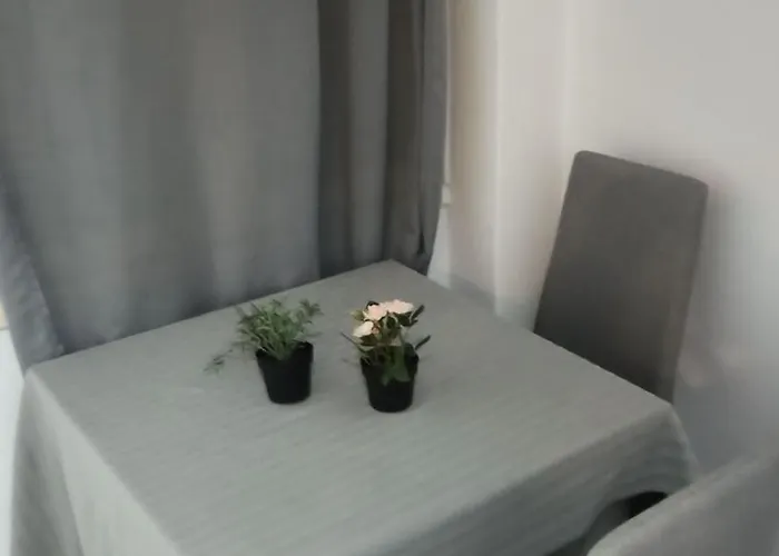 Apartment Renovated Heart Of *